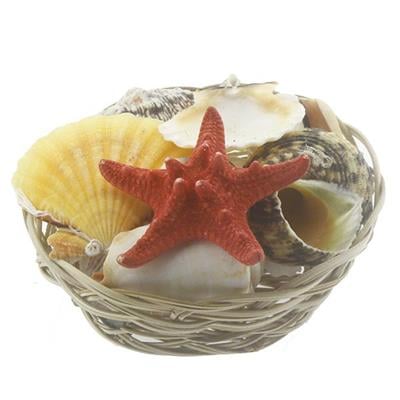 Karışık Deniz Kabukları Dekor Seti Sepette