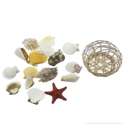 Karışık Deniz Kabukları Dekor Seti Sepette