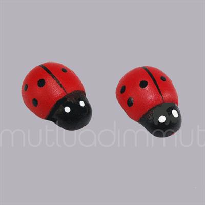 Uğur Böceği Büyük 24 Adet