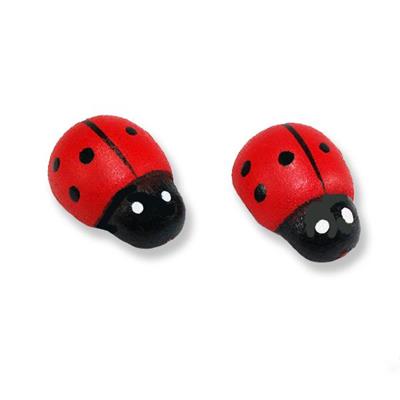 Uğur Böceği Büyük 24 Adet