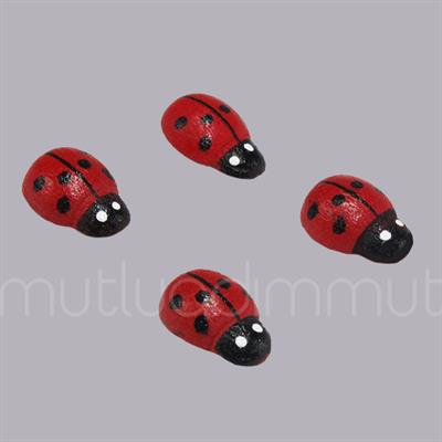 Uğur Böceği Küçük 24 Adet