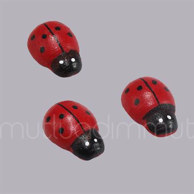 Uğur Böceği Orta 24 Adet