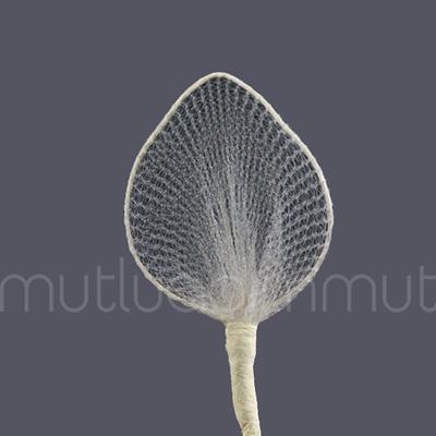 Yaprak Raket 72 Adet