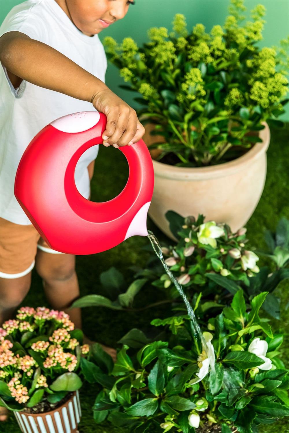 Quut Cana Çift Taraflı Çocuk Sulama Kabı  / Large / Cherry