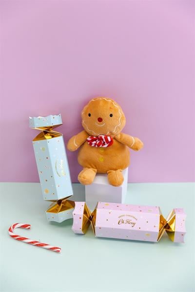 Oh Flossy Çocuk Doğal Yüz Boyama Seti / Bon Bon Blue