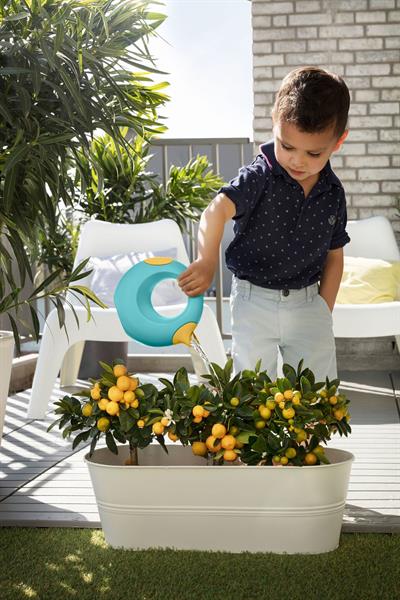Quut Cana Çift Taraflı Çocuk Sulama Kabı / Small / Banana Blue