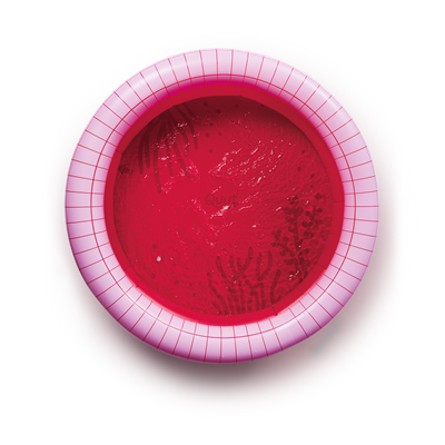 Quut Dippy Şişme Çocuk Yüzme Havuzu / Çap 120  cm /Cherry