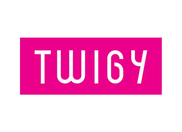 Twigy