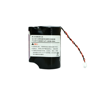 EVE ER34615 3.6V 19000mAh ER + SPC1550 Hibrit Enerji Çözümü (Pulse Destekli)