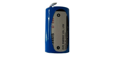 EVE ER34615 3.6V 19000mAh D Size  Kablolu Sayaç Pili (Uzun Ömürlü)