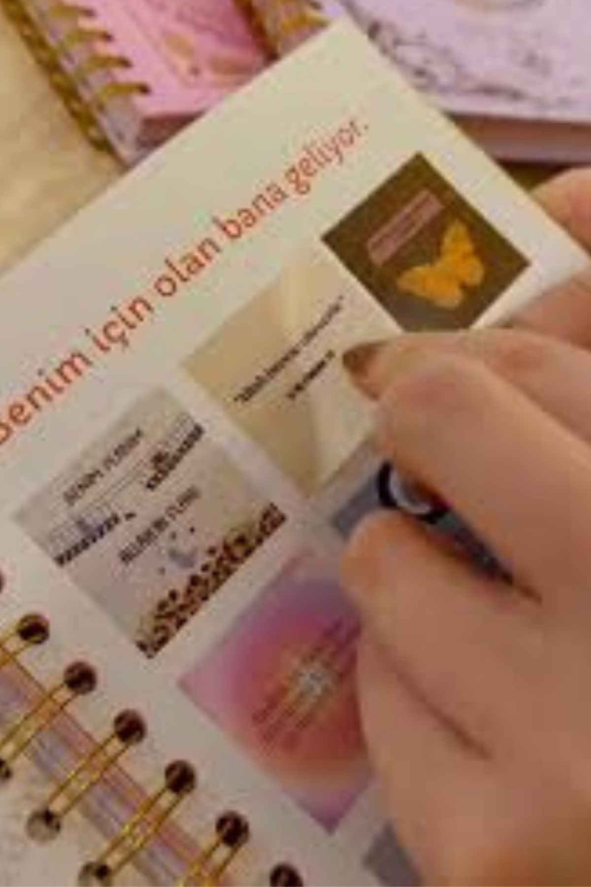 Başarı-Aşk-Sağlık-Mutluluk-Seyahat-Para Mor Manifest Günlüğü