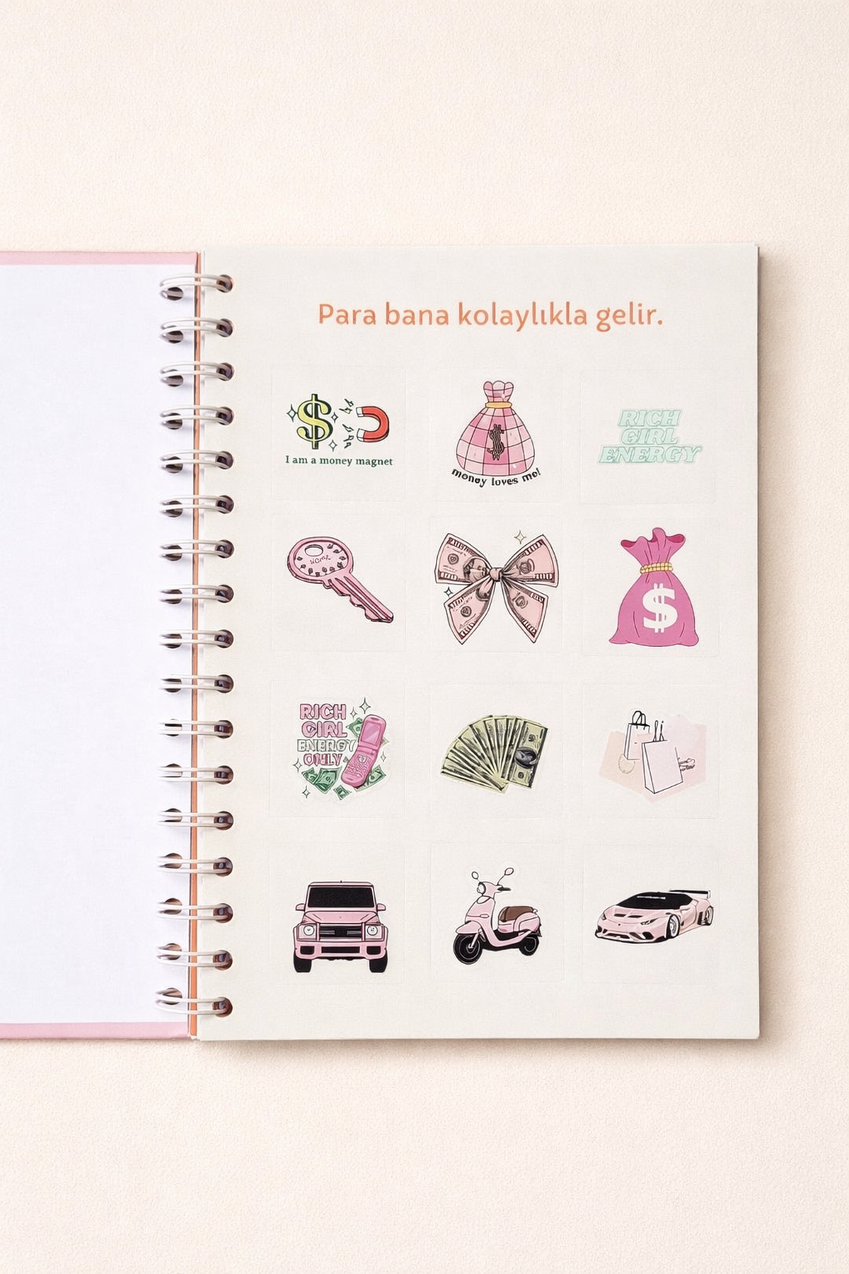 Başarı-Aşk-Sağlık-Mutluluk-Seyahat-Para Mor Manifest Günlüğü