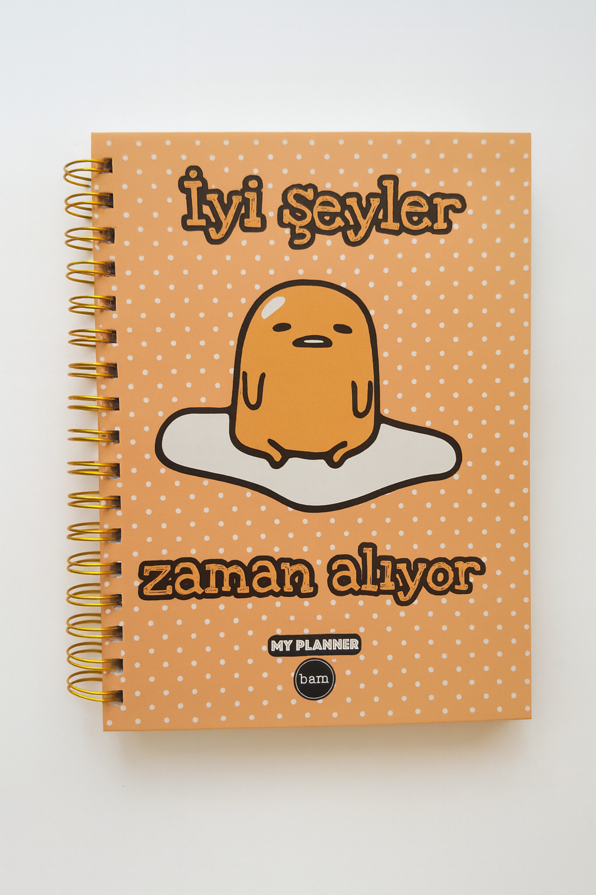 İyi Şeyler Zaman Alıyor Spiral Çizgili Defter