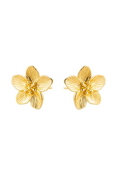 GOLD LOTUS ÇİÇEĞİ KÜPE