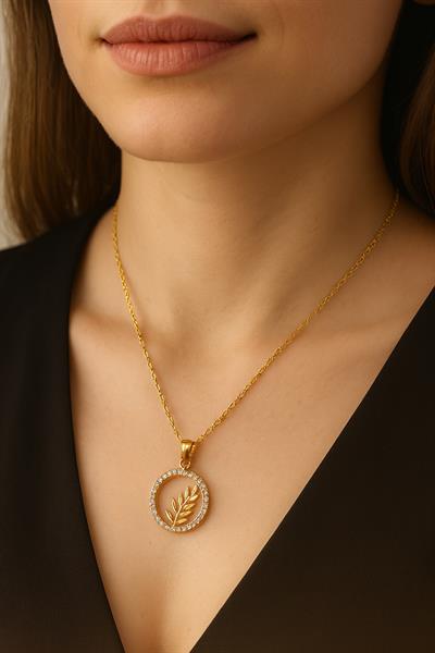 Gold Daire İçinde Zeytin Dalı Çelik Kolye