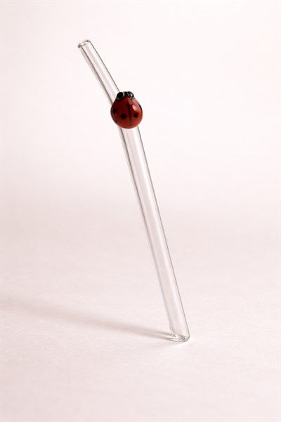 Tombul Uğur Böcek Figürlü Cam Pipet