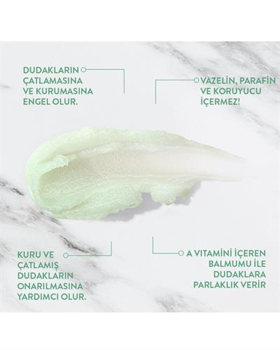 Yoğun Nemlendirme Etkili Nane Aromalı Dudak Balsamı 12Gr