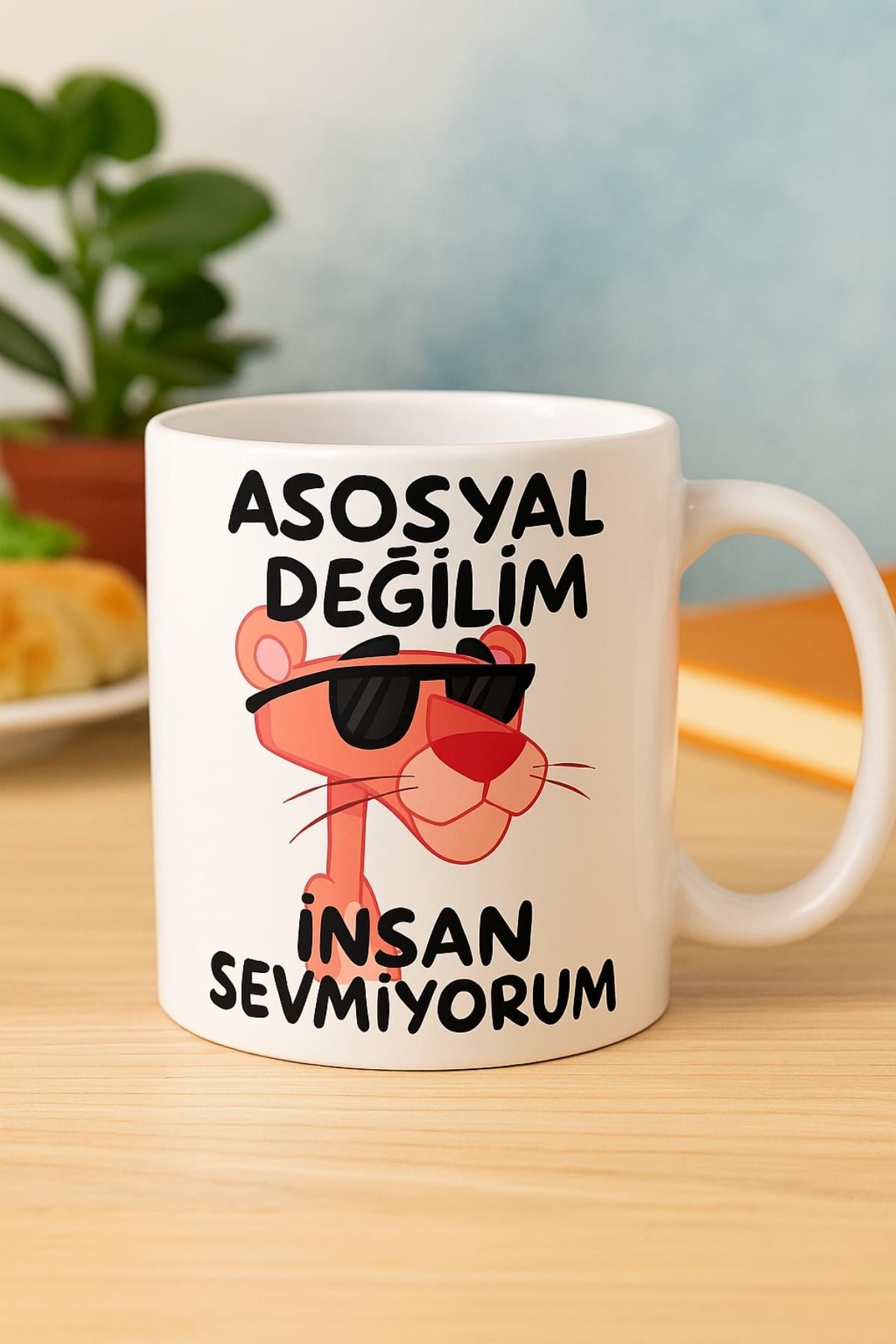 ASOSYAL DEĞİLİM İNSAN SEVMİYORUM BARDAK