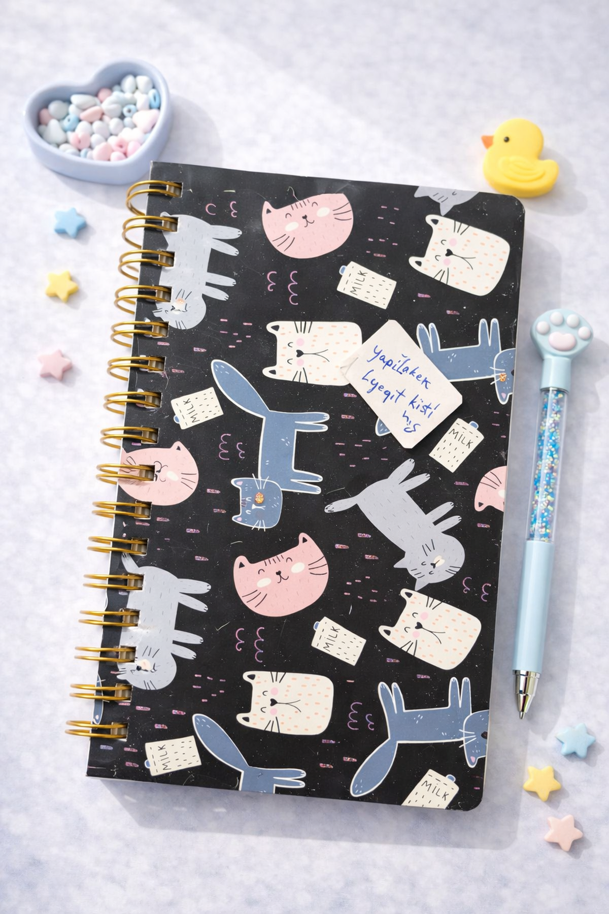Siyah Kedili Yatay Defter
