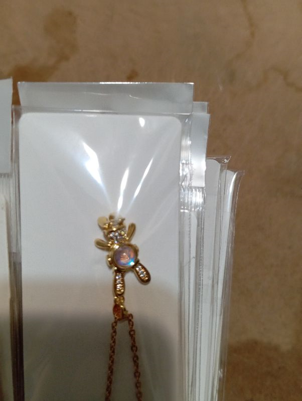 TERS ASILI TAŞLI AYI KOLYE