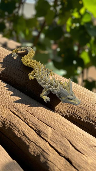 Small Kristal Ejderha - Altın-Gümüş