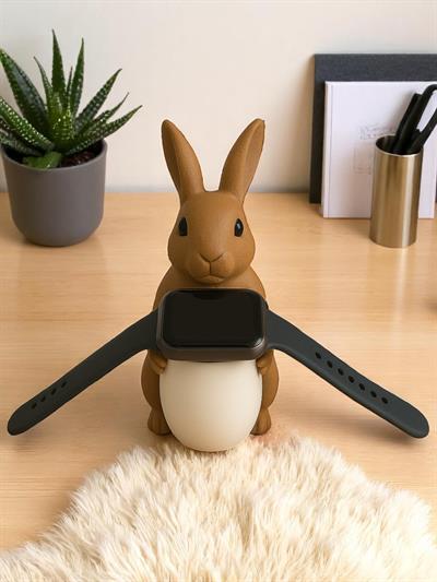 Tavşan Şarj Yuvası