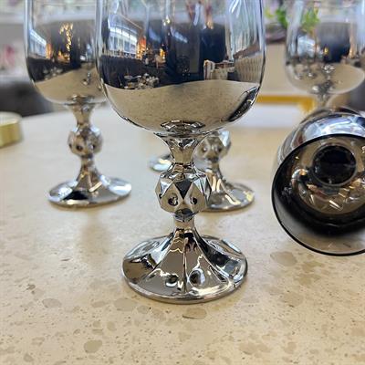 Bohemia Kristal 6 Lı Bardak Dekorlu Gümüş