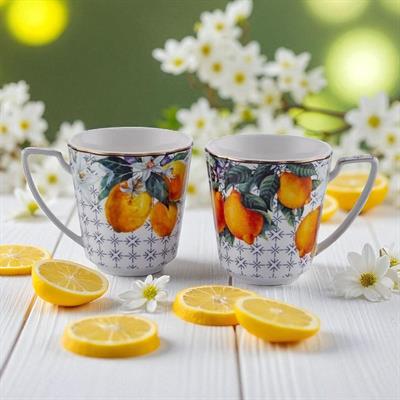 Joy Carmen Lemons 2 Li Kupa