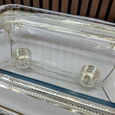 Winterbach Calista Isıtıcılı Dikdörtgen Büyük Sunumluk Silver Gold