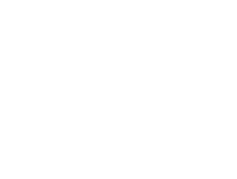 Shine Pillow