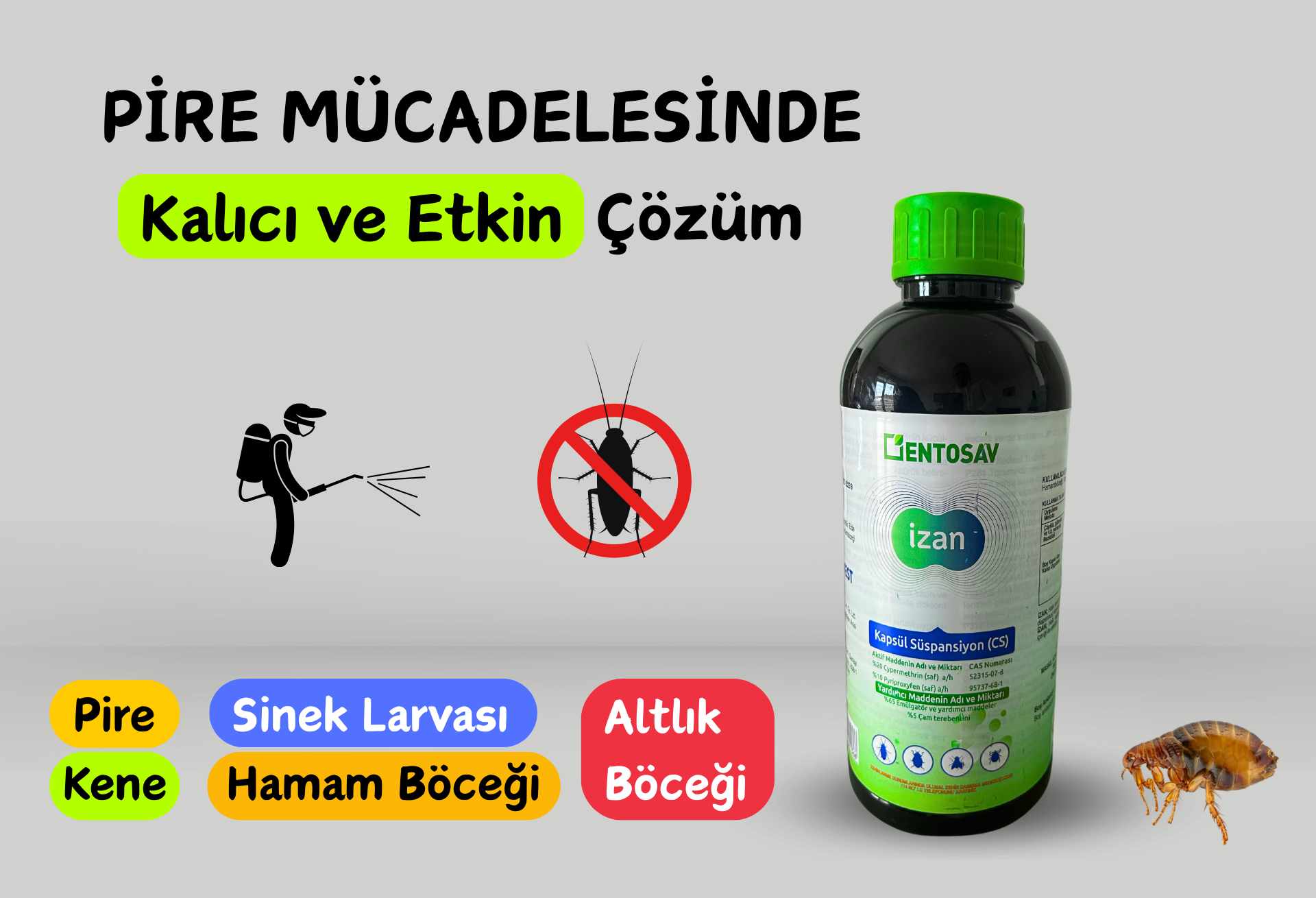 Detaylar için tıklayın