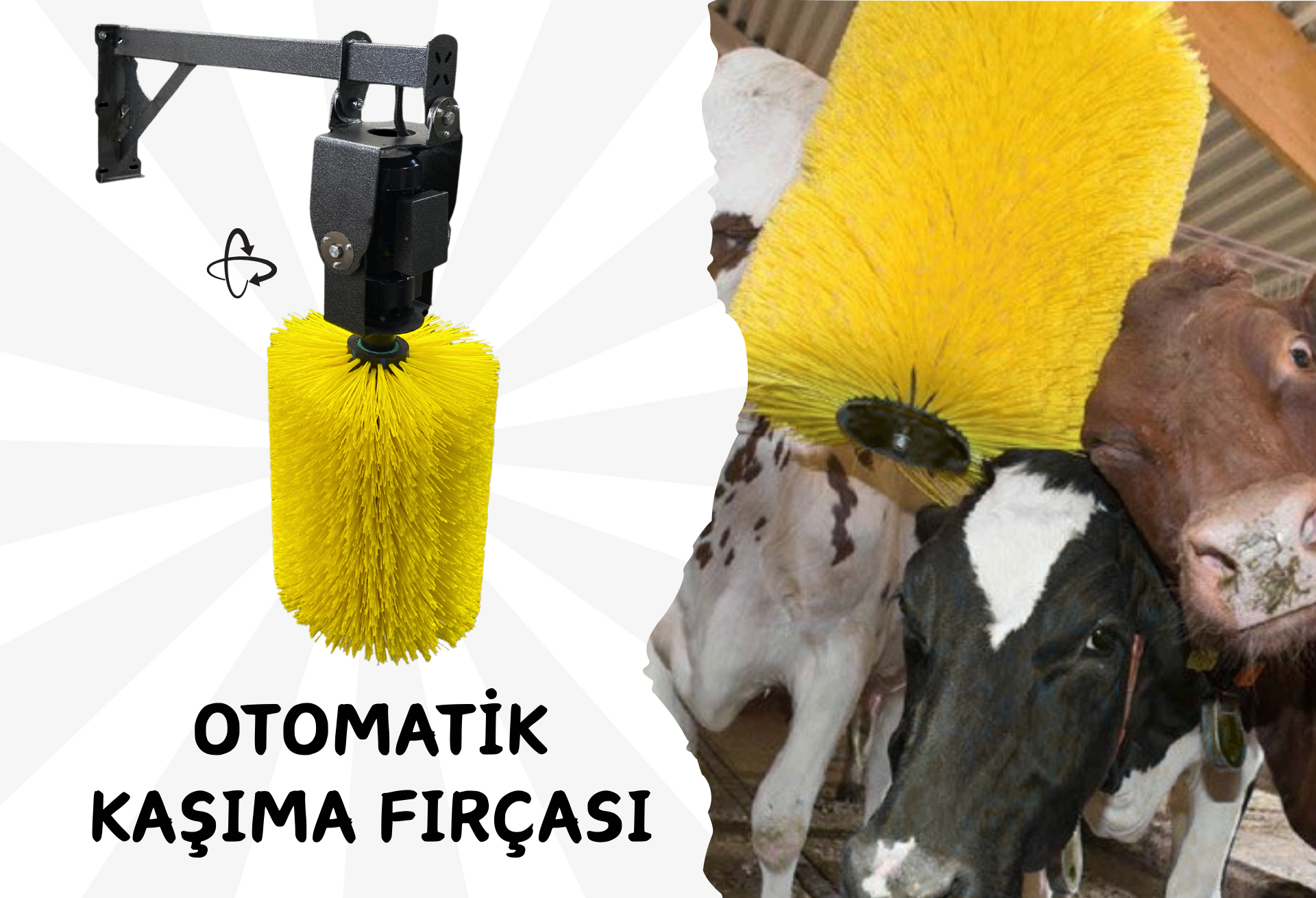Detaylar için tıklayın