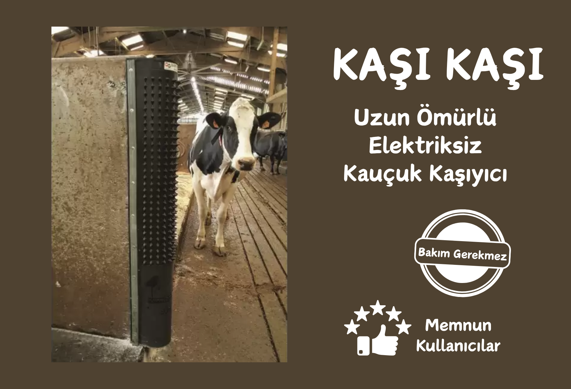 Detaylar için tıklayın