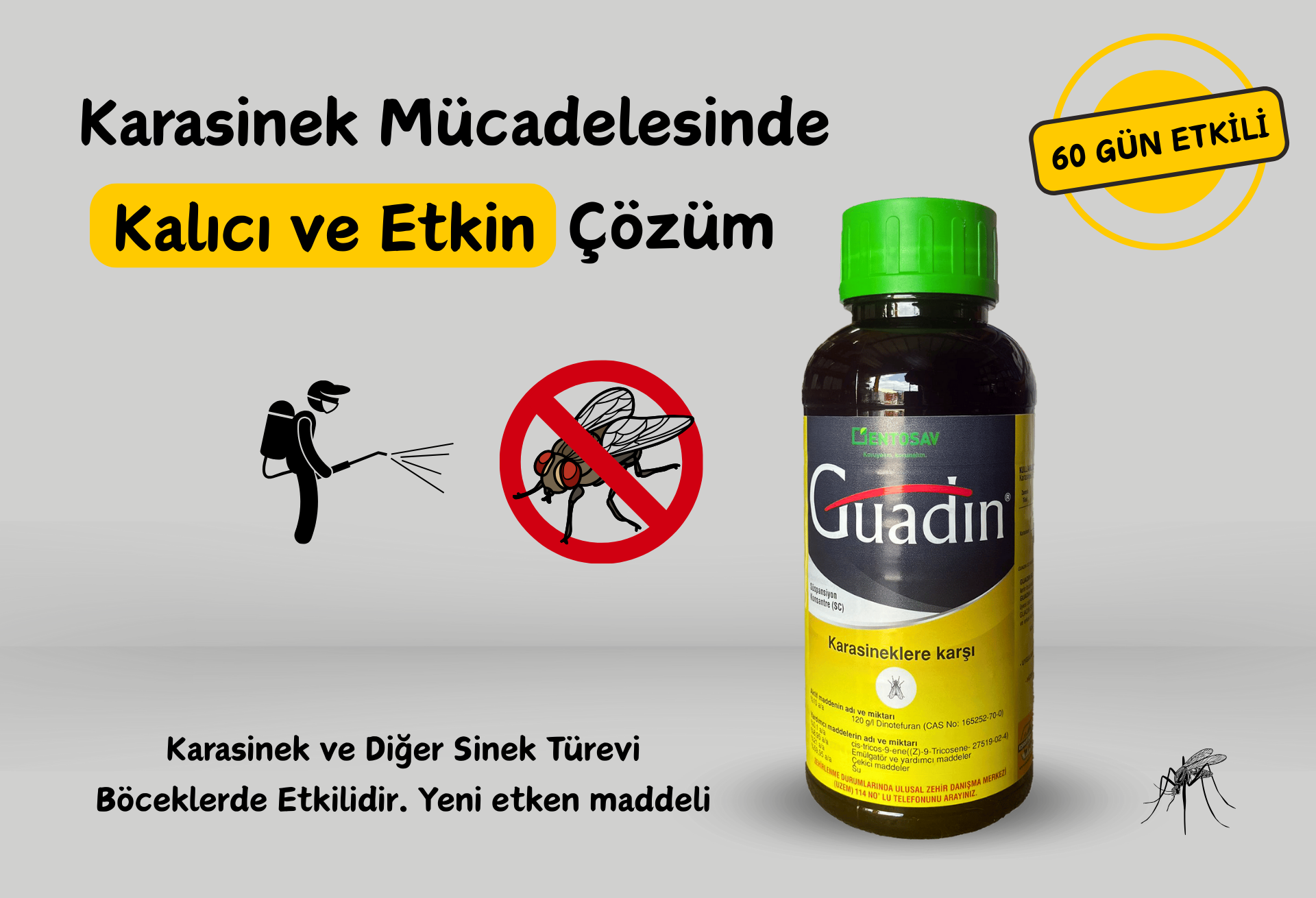 Detaylar için tıklayın