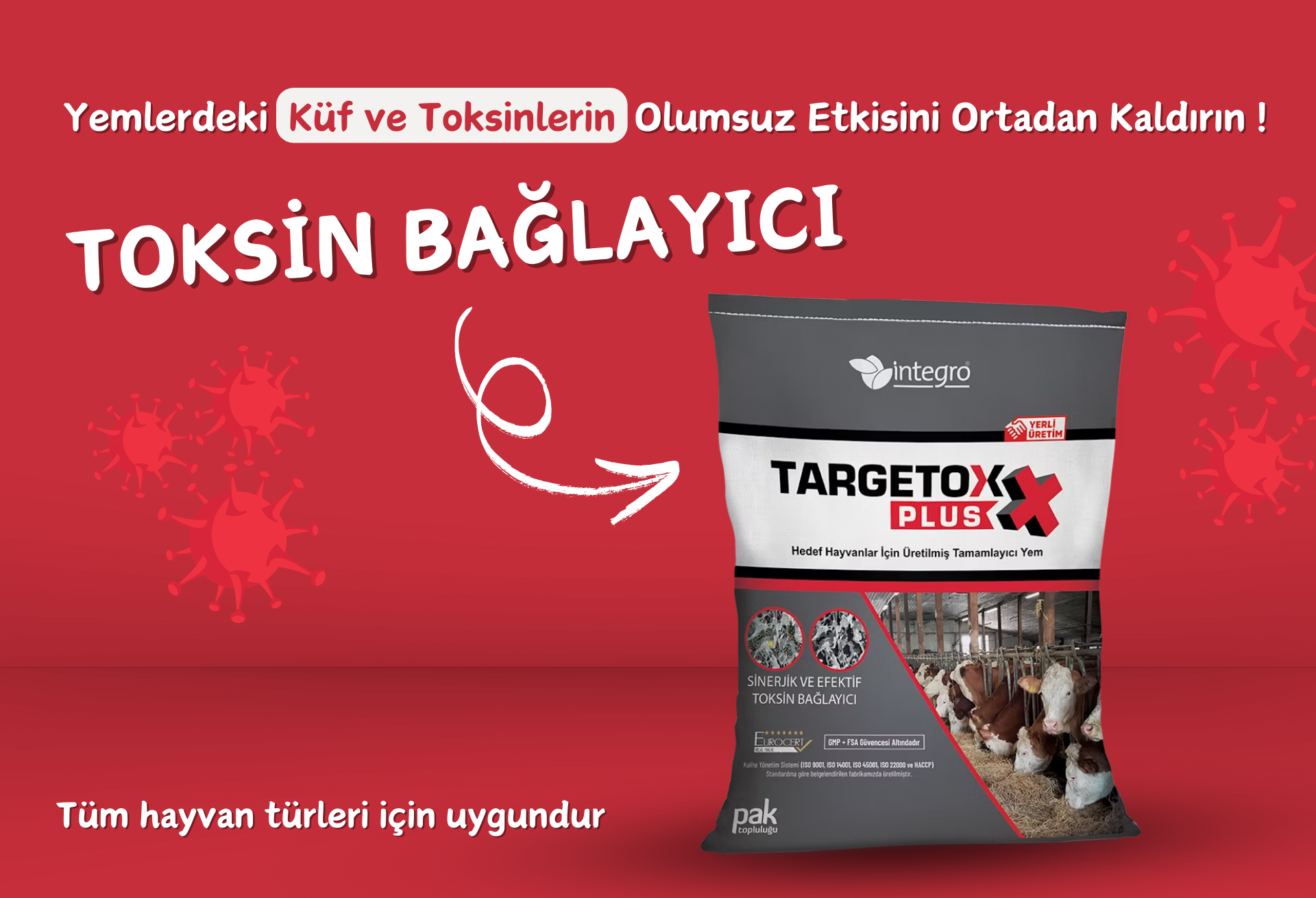 Detaylar için tıklayın