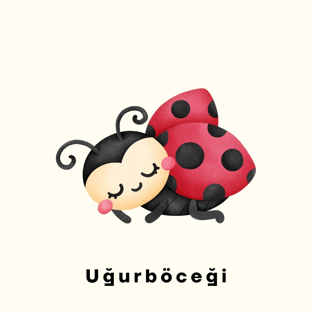 Görsel 7