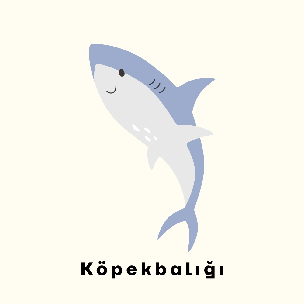 Görsel 5