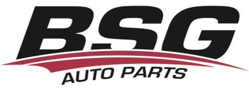 BSG