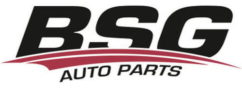 BSG