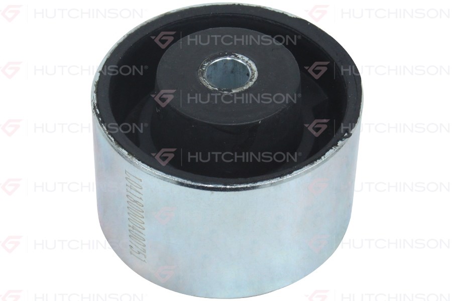 Peugeot 106 205 206 306 307 405 Berlingo Partner Saxo Xsara C4 AX BX ZX... HUTCHINSON