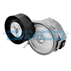 Peugeot 206 Alternatör Gergi Rulmanı Kütüklü DAYCO