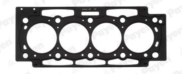 Peugeot 206 307 406 607 806 Expert Jumpy Citroen C4 C5 C8 Xsara Scudo 2.0... PAYEN