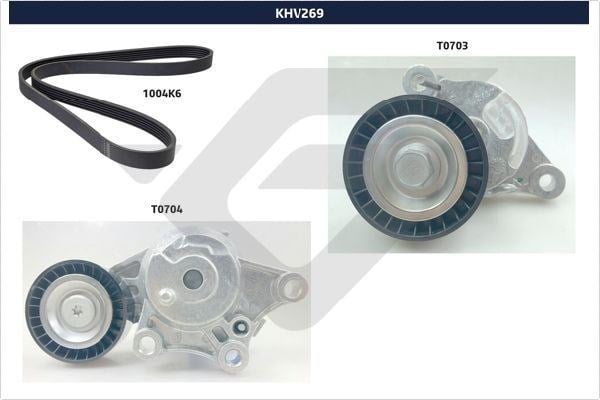 Peugeot 208 1.6 BlueHDI Alternatör Gergi Kiti HUTCHINSON