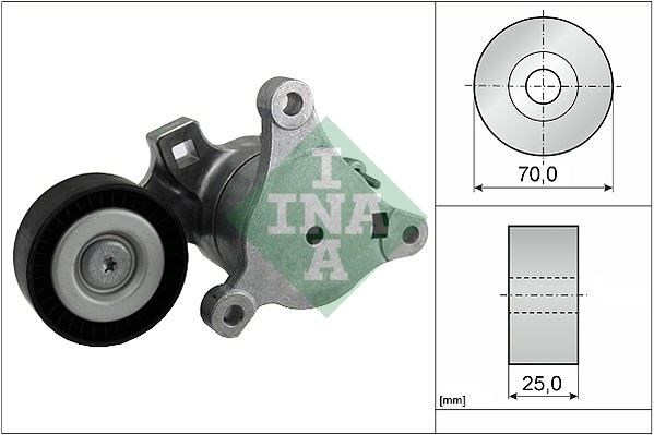 Peugeot 307 Alternatör Gergi Rulmanı INA