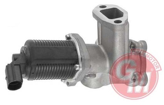 Fiat 500 500C Idea Panda Musa EGR Valfi GUA