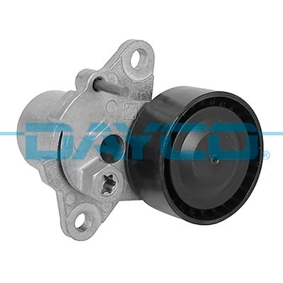 Audi Alternatör Gergi Rulmanı DAYCO