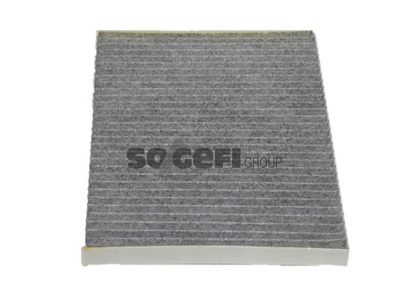 Audi A3 Volkswagen Caddy II Golf III Polen Filtresi PURFLUX