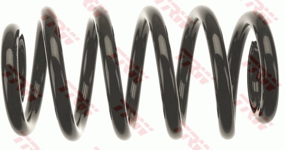 Audi A4 B6 B7 Seat Exeo Ön Süspansiyon Yayı TRW