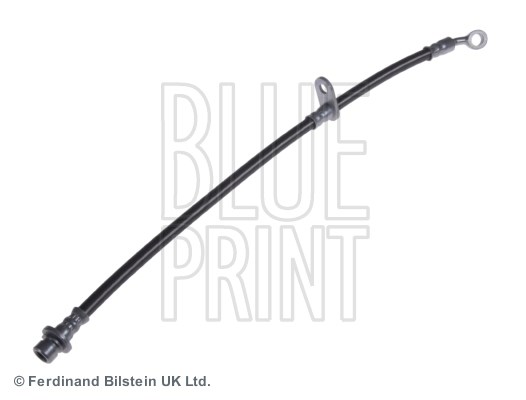 Honda Accord Fren Hortumu BLUEPRINT