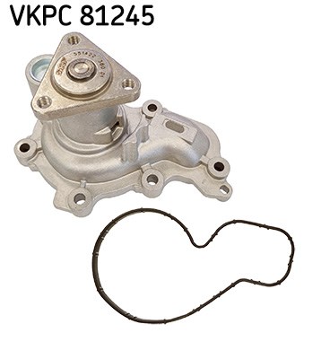 Audi A6 C7 Su Pompası SKF